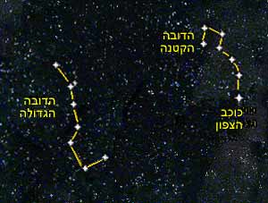 הדובה הגדולה והדובה הקטנה